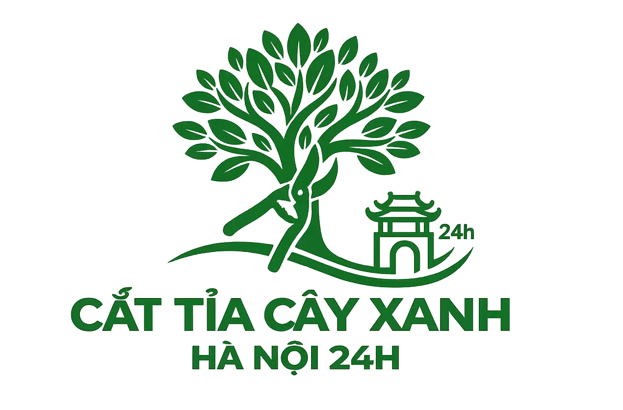 Cắt Tỉa Cây Xanh Hà Nội 24h