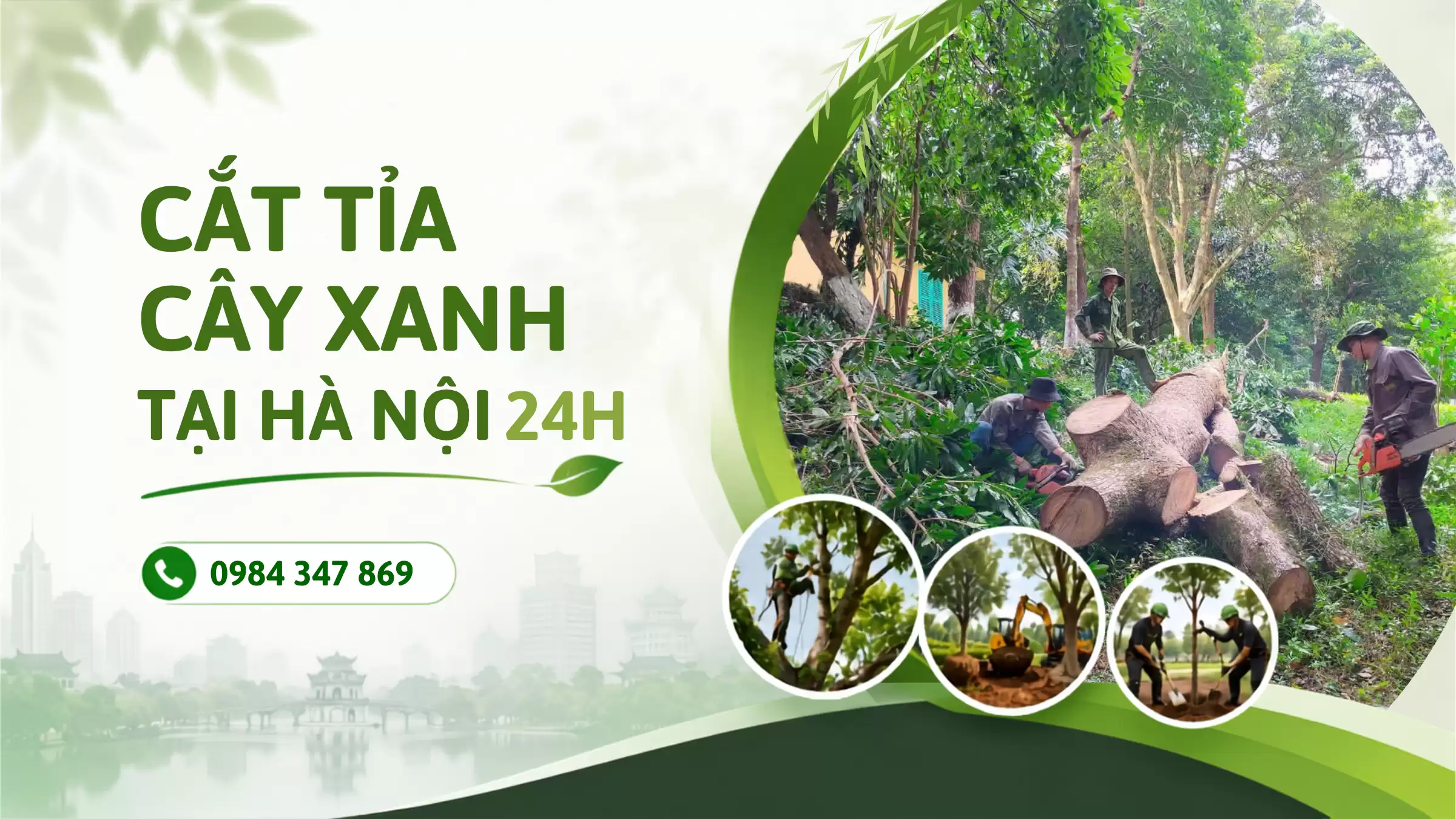 Cắt Tỉa Cây Xanh Hà Nội 24h – Khảo Sát & Báo Giá Miễn Phí